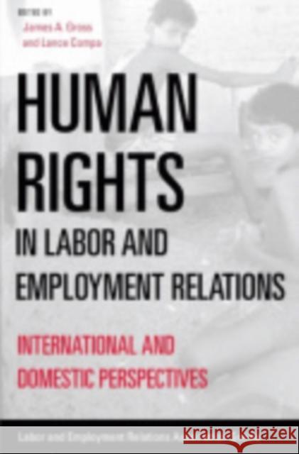 Human Rights in Labor and Employment Relations: International and Domestic Perspectives Gross, James A. 9780913447987 Lera Research Volume