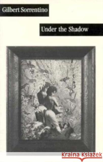 Under the Shadow (Revised) Sorrentino, Gilbert 9780916583934 Dalkey Archive Press
