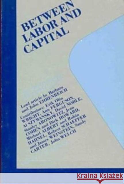 Between Labor and Capital Pat Walker 9780919618862 Black Rose Books