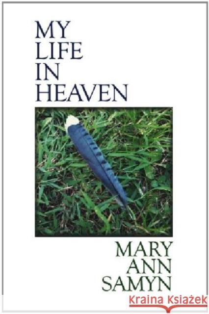 My Life in Heaven Mary Ann Samyn 9780932440266