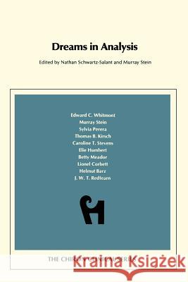 Dreams in Analysis (Chiron Clinical Series) Schwartz-Salant, Nathan 9780933029200 Chiron Publications