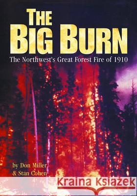 Big Burn Miller, Don 9780933126046 Boydell & Brewer