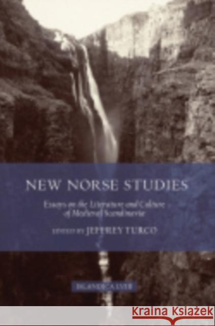 New Norse Studies: Essays on the Literature and Culture of Medieval Scandinavia Turco, Jeffrey 9780935995237 Cornell University Press