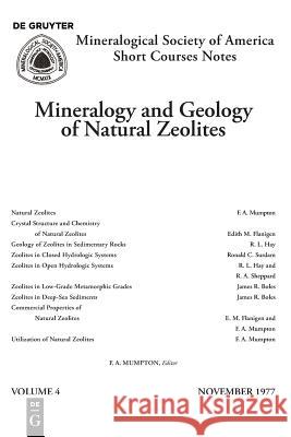 Mineralogy and Geology of Natural Zeolites Fred A. Mumpton 9780939950041 de Gruyter