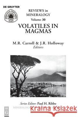 Volatiles in Magmas Michael R. Carroll, John R. Holloway 9780939950362
