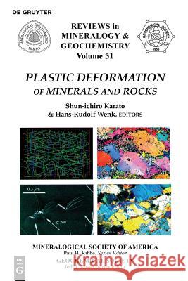 Plastic Deformation of Minerals and Rocks Shun-ichiro Karato, Hans-Rudolph Wenk 9780939950638 de Gruyter