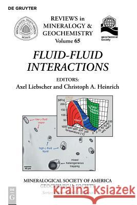 Fluid-Fluid Interactions Axel Liebscher, Christoph A. Heinrich 9780939950775 de Gruyter