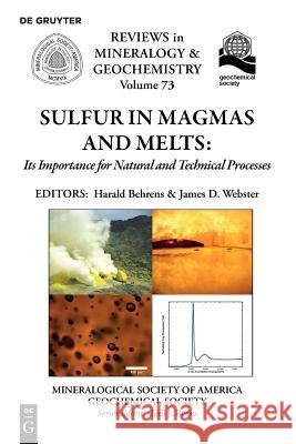 Sulfur in Magmas and Melts:: Its Importance for Natural and Technical Processes Harald Behrens, James D. Webster 9780939950874