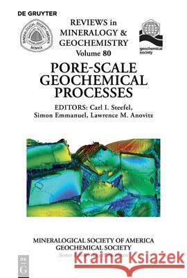 Pore Scale Geochemical Processes  9780939950966 De Gruyter