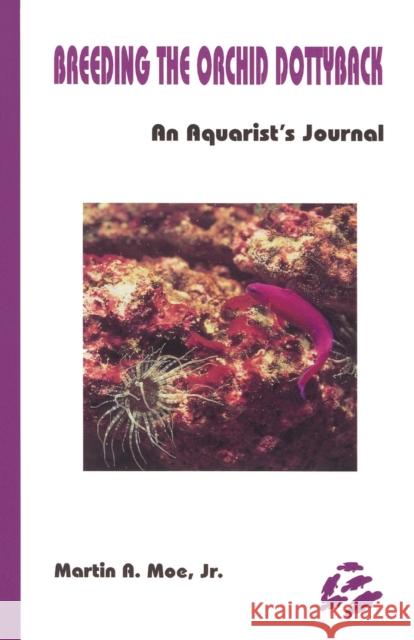 Breeding the Orchid Dottyback, Pseudochromis Fridmani: An Aquarist's Journal Martin A., Jr. Moe 9780939960095 Green Turtle