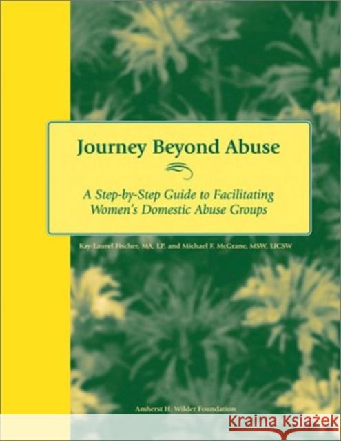 Journey Beyond Abuse: A Step-By-Step Guide to Facilitating Women's Domestic Abuse Groups Kay-Laurel Fischer Michael McGrane Vincent Hyman 9780940069145 Fieldstone Alliance