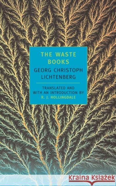 The Waste Books Georg Christoph Lichtenberg R. J. Hollingdale R. J. Hollingdale 9780940322509 New York Review of Books