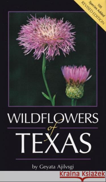Wildflowers of Texas Geyata Ajilvsgi 9780940672734 Shearer Publishing