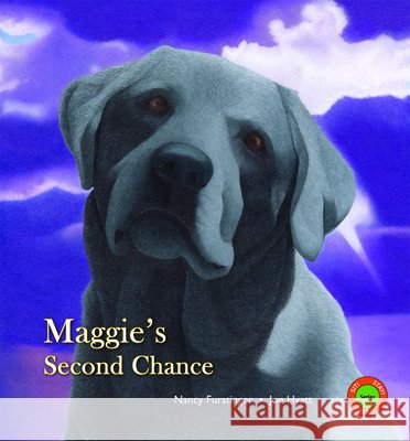 Maggie's Second Chance Nancy Furstinger Joe Hyatt 9780940719118 Gryphon Press