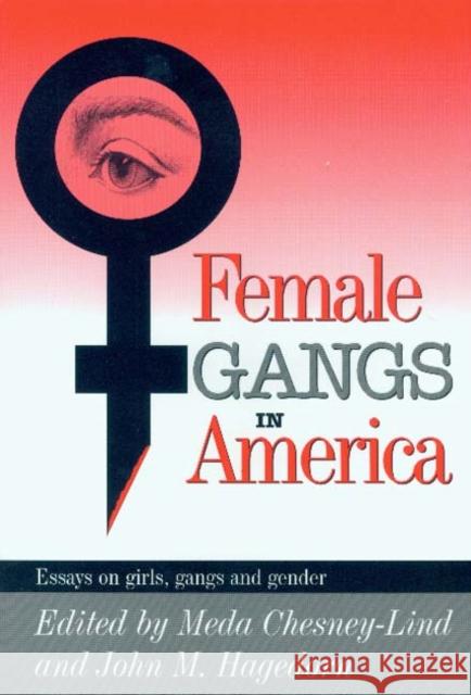 Female Gangs in America : Essays on Girls, Gangs and Gender Meda Chesney-Lind John M. Hagedorn 9780941702478 Lake View Press