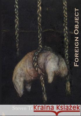 Foreign Object Steven Teref 9780942544374 Negative Capability Press