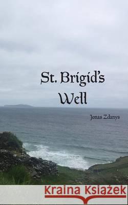 St. Brigid's Well Jonas Zdanys 9780944048740