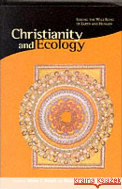 Christianity & Ecology - Seeking the Well-Being of Earth & Humans (Paper) Dieter T. Hessel Rosemary Radford Ruether 9780945454205 Harvard University Press
