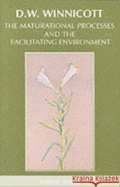 The Maturational Processes and the Facilitating Environment : Studies in the Theory of Emotional Development D. W. Winnicott 9780946439843 Taylor & Francis Ltd