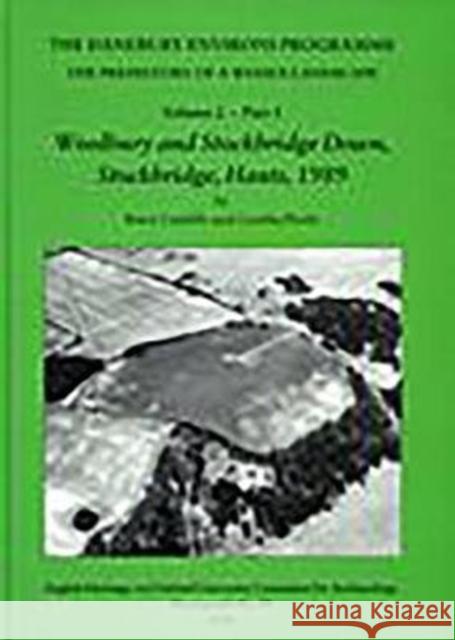 The Danebury Environs Programme: The Prehistory of a Wessex Landscape: Volume 2 Cunliffe, Barry 9780947816490