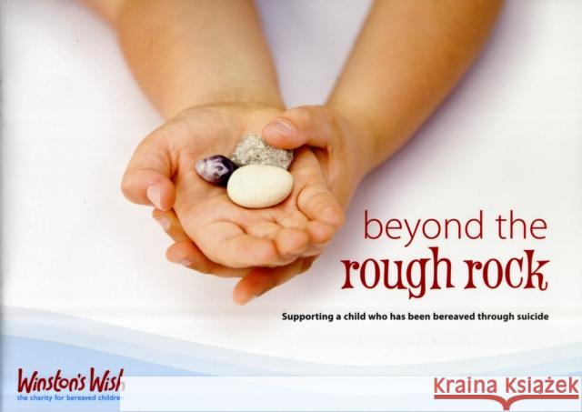 Beyond the Rough Rock: Supporting a Child Who Has Been Bereaved Through Suicide Di Stubbs, Julie Stokes, Heidi Baker 9780953912377 Winston's Wish