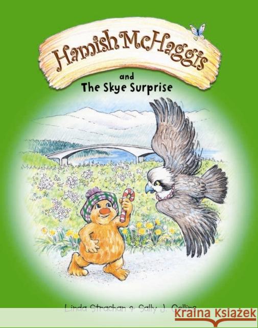 Hamish McHaggis: & the Skye Surprise  9780954670184 Lomond Books