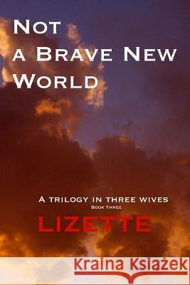 Not a Brave New World: Lizette: Book - 3 Paul K. Lyons 9780954827038