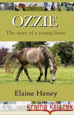 Ozzie - The story of a young horse Heney, Elaine 9780955265327 Irish Natural Horsemanship