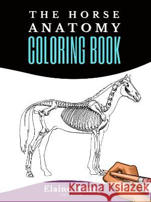 Horse Anatomy Coloring Book For Adults - Self Assessment Equine Coloring Workbook: Test Your Knowledge - For Equestrians & Veterinary Students Heney, Elaine 9780955265358 Grey Pony Films