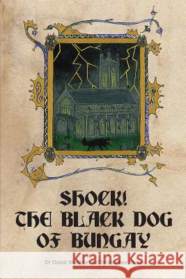 Shock! The Black Dog of Bungay: A Case Study in Local Folklore David Waldron, Christopher Reeve 9780955523779 Hidden Publishing