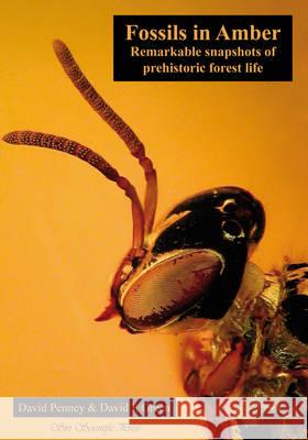 Fossils in Amber: Remarkable Snapshots of Prehistoric Forest Life  9780955863660 Siri Scientific Press