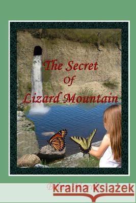 The Secret Of Lizard Mountain Brian Morris 9780955975400 Storypics