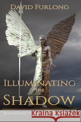 Illuminating the Shadow: Transmuting the Dark Side of the Psyche David Furlong 9780955979569