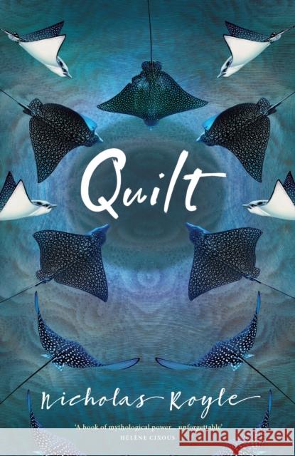 Quilt Nicholas Royle 9780956251541