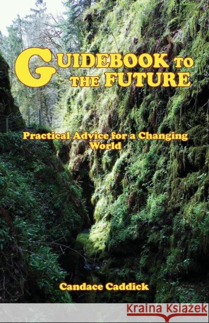 Guidebook to the Future Caddick, Candace 9780956500939 Brightstone Publishing