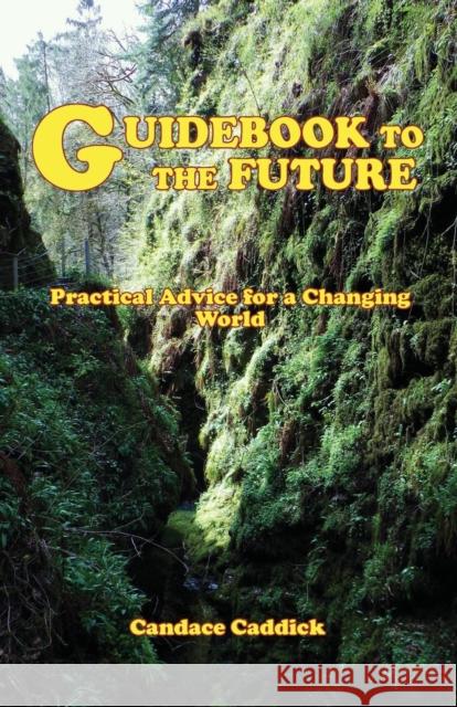 Guidebook to the Future Caddick, Candace 9780956500939