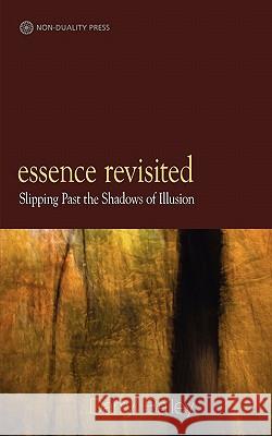 Essence Revisited: slipping past the shadows of Illusion Bailey, Darryl 9780956643261