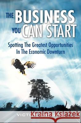 The Business You Can Start: Spotting The Greatest Opportunities In The Economic Downturn Kwegyir, Victor 9780956770615