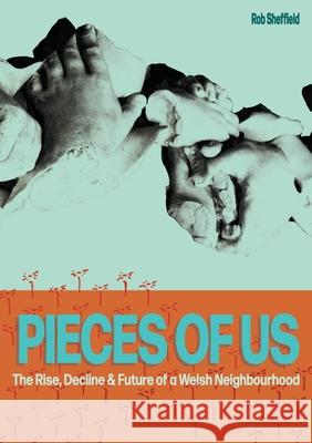 Pieces of Us Rob Sheffield 9780956803184 Cambria Publishing