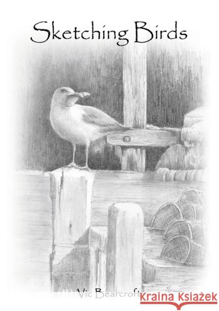 Sketching Birds Vic Bearcroft 9780956808059 Little Acorns Publishing