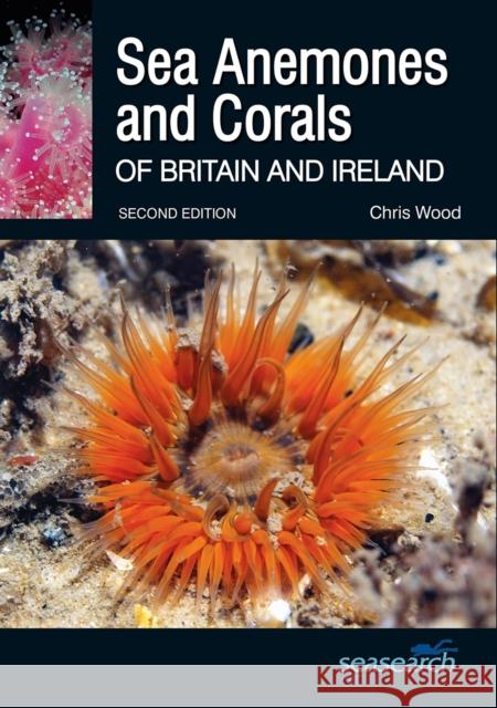 Sea Anemones and Corals of Britain and Ireland Chris Wood   9780957394636 Wild Nature Press