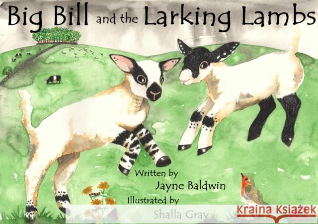 Big Bill and the Larking Lambs: A Tale from Benyellary Farm  9780957640276 Curly Tale Books