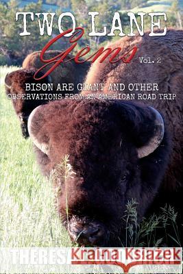 Two Lane Gems, Vol. 2: Bison are Giant and Other Observations from an American Road Trip Goodrich, Theresa L. 9780960049530 Local Tourist