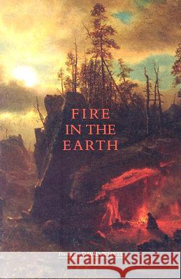 Fire in the Earth David Whyte 9780962152429