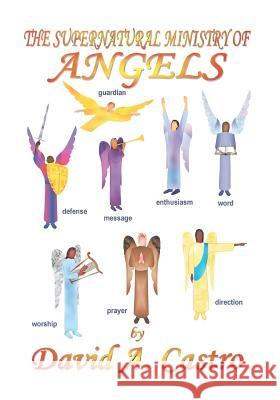 The Supernatural Ministry of Angels David A. Castro 9780963700179
