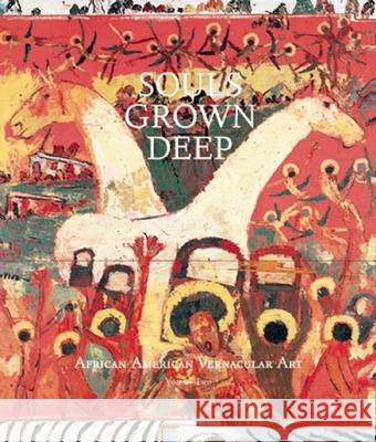 Souls Grown Deep: African-American Vernacular Art of the South: v. 2 William Arnett, Paul Arnett 9780965376631 Tinwood