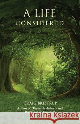 A Life Considered Craig Brestrup Constance King 9780965728522 Camino Bay Books