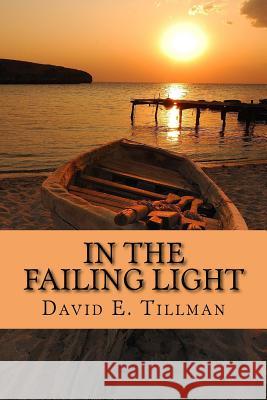 In the Failing Light: a memoir of love and cancer Tillman, David E. 9780966897234 Essex Press