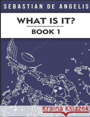 What Is It Book 1: Drawings 1 to 250 Sebastian d 9780967994703