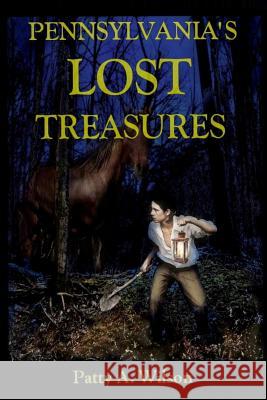 Pennsylvania's Lost Treasures Patty a. Wilson 9780970065056